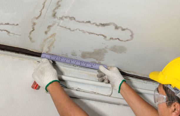 Reliable Mold Remediation contractor in Gladstone, OR by Water Damage Irwin